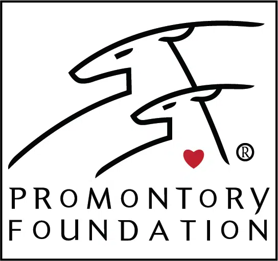 Promontory Foundation logo